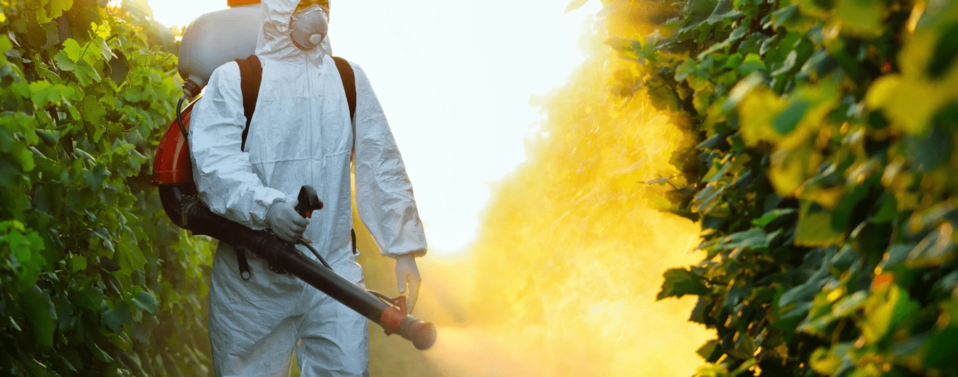 Common Pest Control Problems And How To Solve Them - Pest Control Expertise