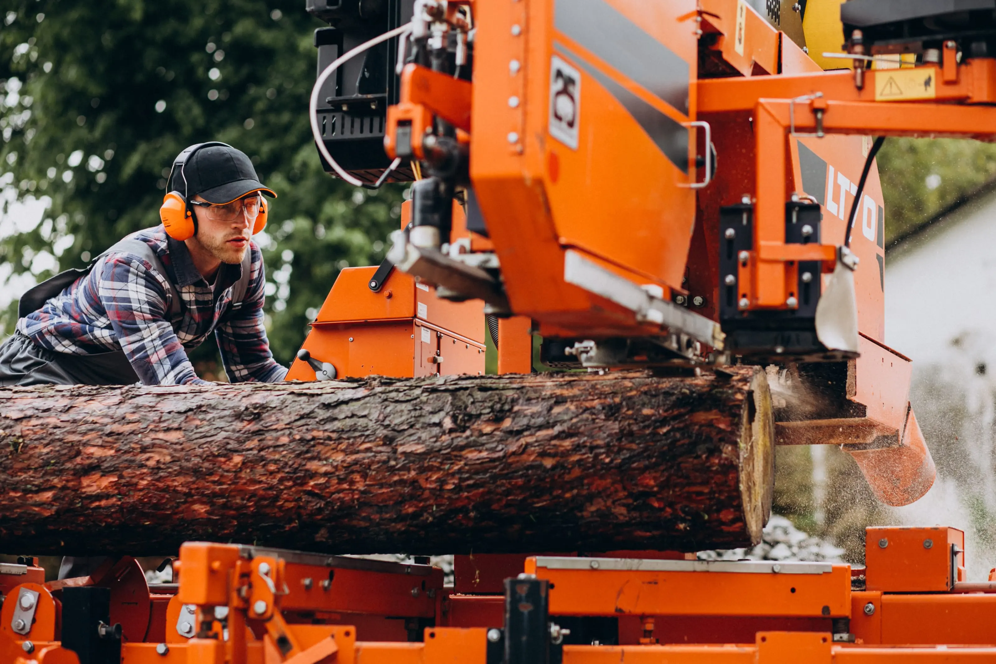 Arborist safely removing a large dead tree near a residential property